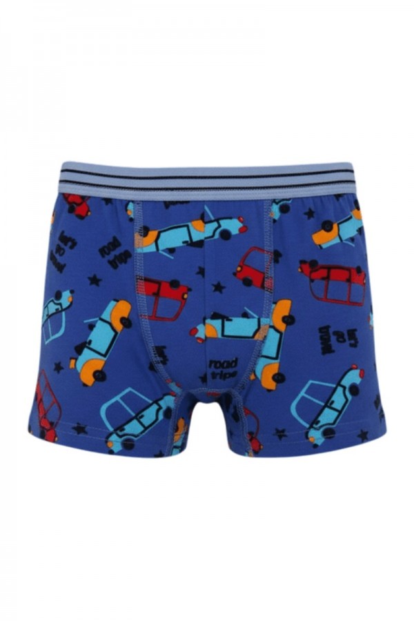 Aldeza 550 Desenli Erkek Çocuk Boxer 8908-5