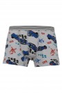 Aldeza 550 Desenli Erkek Çocuk Boxer 8908-6