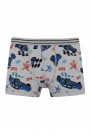 Aldeza 550 Desenli Erkek Çocuk Boxer 8908-16