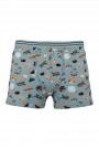 Aldeza 550 Desenli Erkek Çocuk Boxer 8908-7