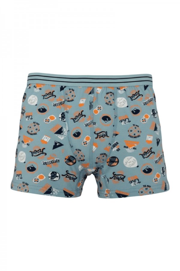 Aldeza 550 Desenli Erkek Çocuk Boxer 8908-7