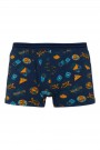 Aldeza 550 Desenli Erkek Çocuk Boxer 8908-17