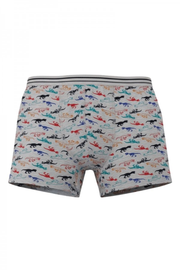 Aldeza 550 Desenli Erkek Çocuk Boxer 8908-9
