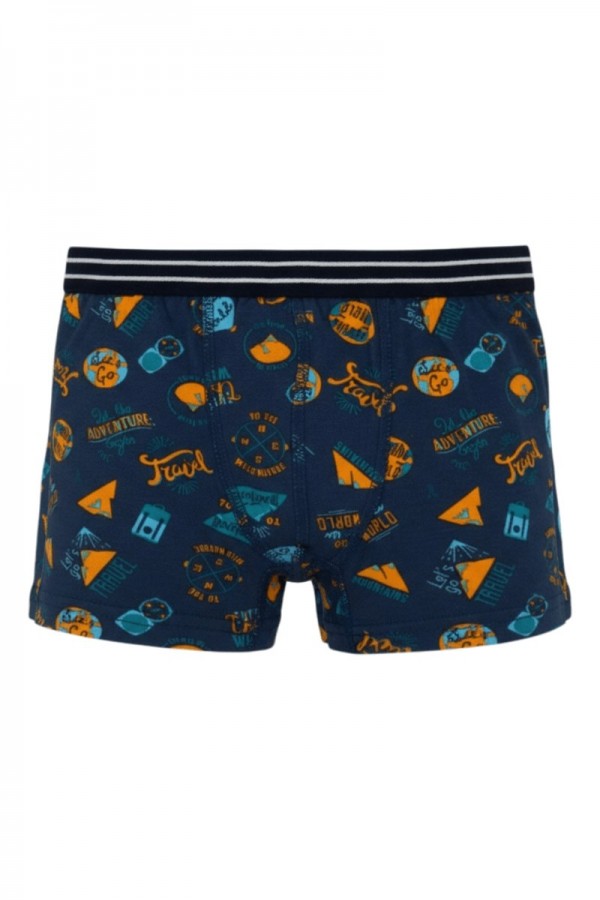 Aldeza 550 Desenli Erkek Çocuk Boxer 8908-18