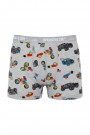 Dondeza 505 Erkek Çocuk Desenli Boxer 8907-1