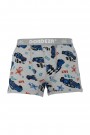 Dondeza 505 Erkek Çocuk Desenli Boxer 8907-23
