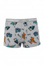Dondeza 505 Erkek Çocuk Desenli Boxer 8907-24