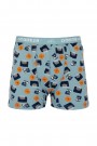 Dondeza 505 Erkek Çocuk Desenli Boxer 8907-4