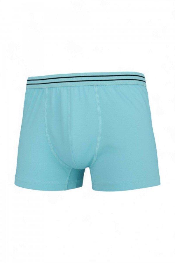 Aldeza 551 Düz Erkek Çocuk Boxer 8909-2