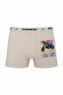 Dondeza 506 Düz Baskılı Erkek Çocuk Boxer 8910-21