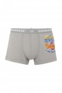Dondeza 506 Düz Baskılı Erkek Çocuk Boxer 8910-28