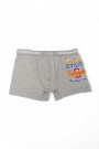 Dondeza 506 Düz Baskılı Erkek Çocuk Boxer 8910-28