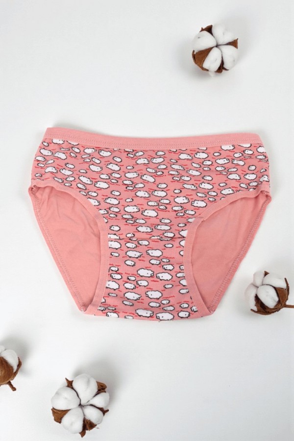 Dondeza Desenli Kız Slip Külot 8801-10