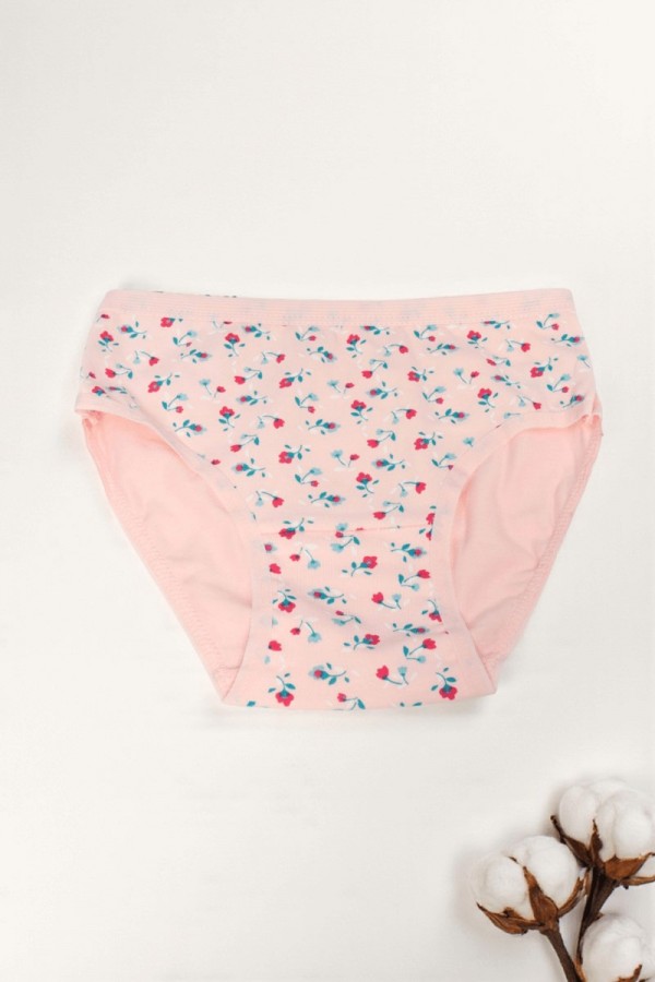 Dondeza Desenli Kız Slip Külot 8801-12