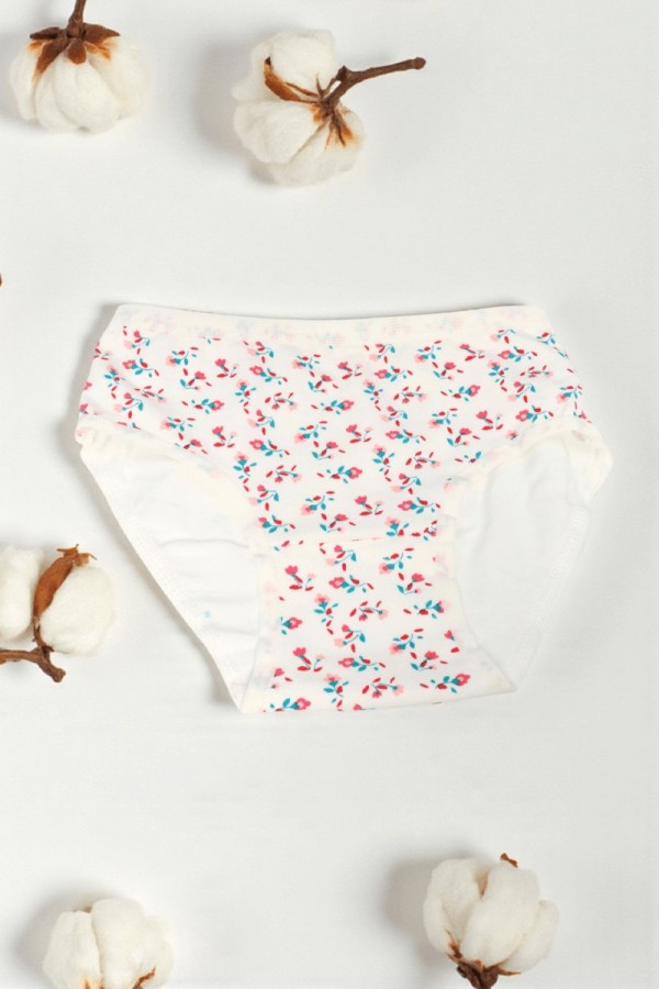 Dondeza Desenli Kız Slip Külot 8801-13