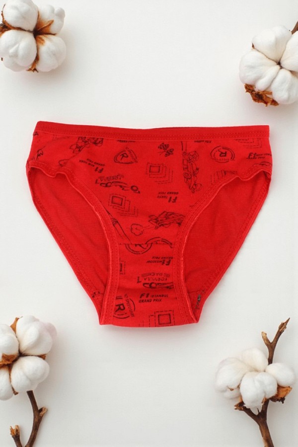 Miss Eftelya Desenli Kız Slip Külot 8801-3