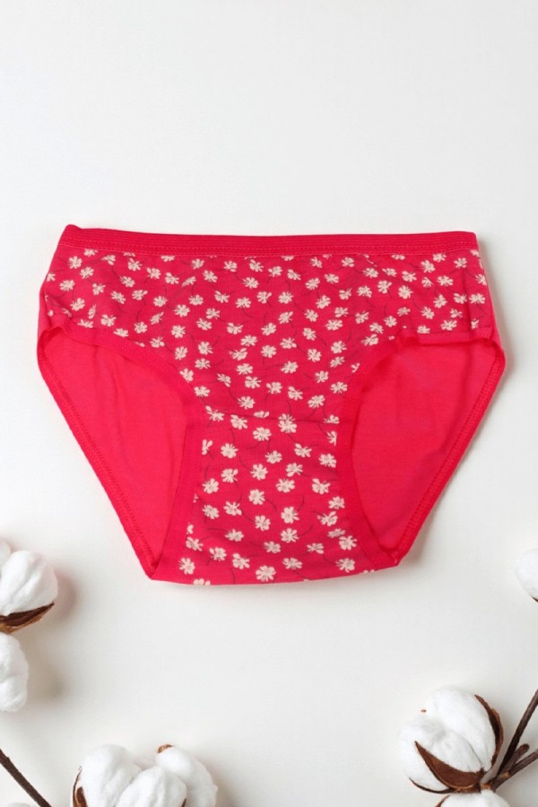 Dondeza Desenli Kız Slip Külot 8801-17