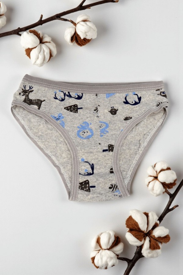 Miss Eftelya Desenli Kız Slip Külot 8801-1