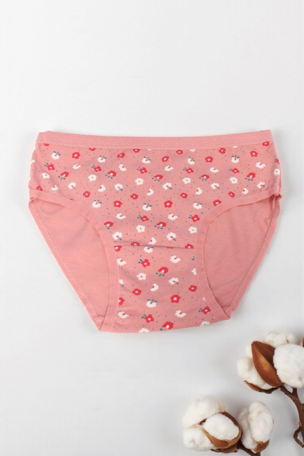 Dondeza Desenli Kız Slip Külot 8801-25