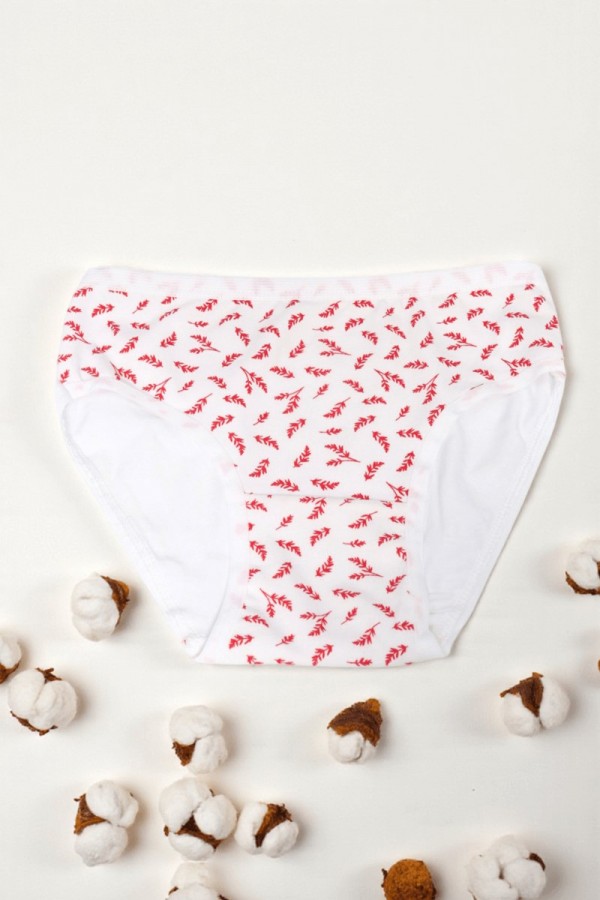 Dondeza Desenli Kız Slip Külot 8801-29