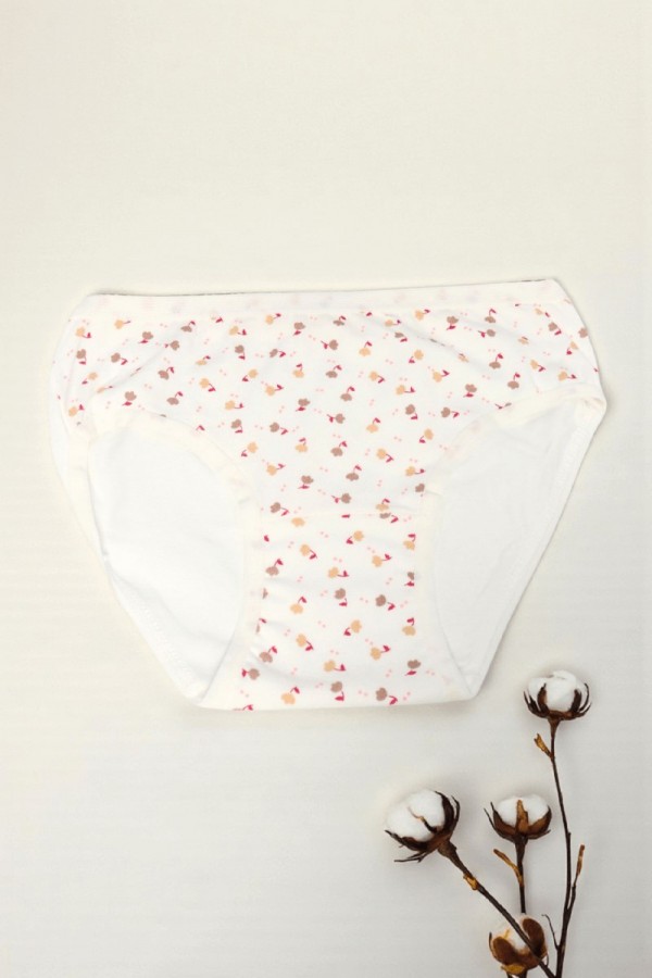 Dondeza Desenli Kız Slip Külot 8801-28