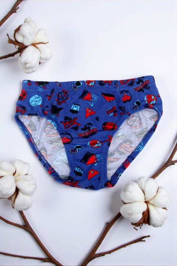 Dondeza 504 Desenli Erkek Çocuk Slip 8901-24