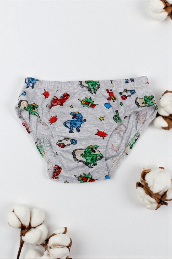 Dondeza 504 Desenli Erkek Çocuk Slip 8901-3