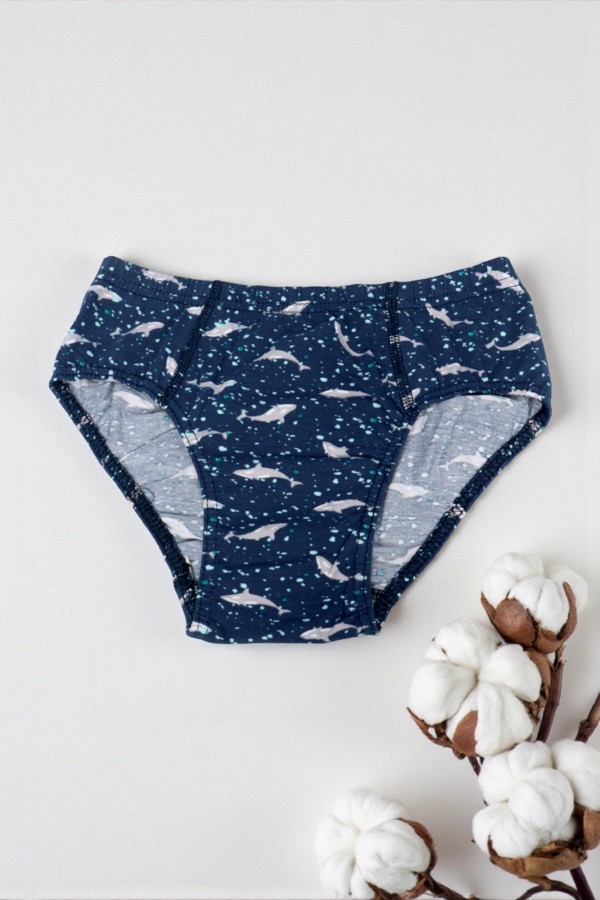 Dondeza 504 Desenli Erkek Çocuk Slip 8901-6