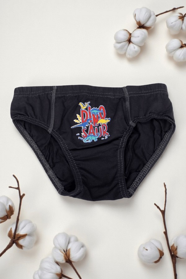 Erkek Çocuk Dondeza Baskılı Slip Külot 8902-9