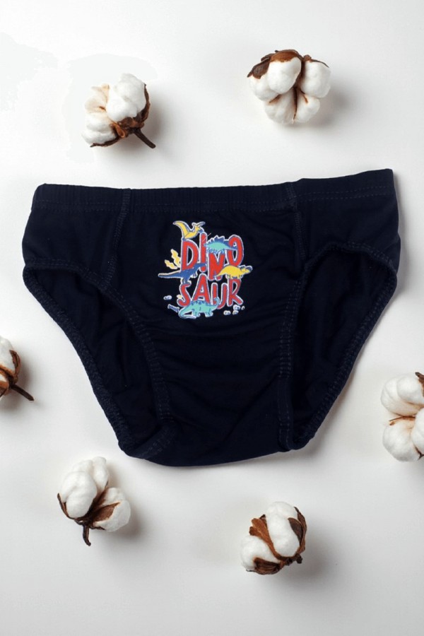 Erkek Çocuk Dondeza Baskılı Slip Külot 8902-7
