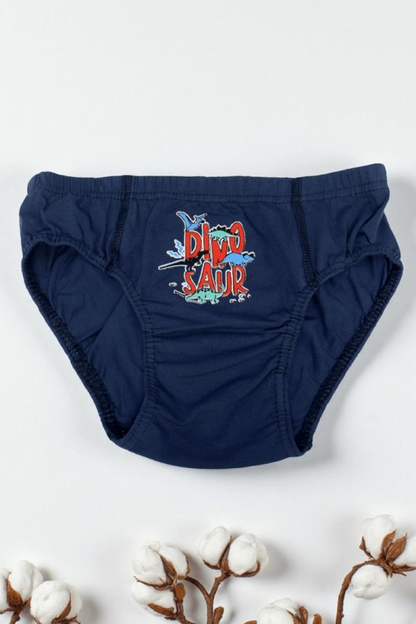 Erkek Çocuk Dondeza Baskılı Slip Külot 8902-5