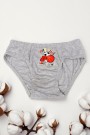 Erkek Çocuk Dondeza Baskılı Slip Külot 8902-3