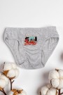 Erkek Çocuk Dondeza Baskılı Slip Külot 8902-2
