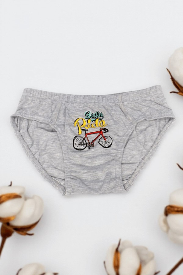 Erkek Çocuk Dondeza Baskılı Slip Külot 8902-1